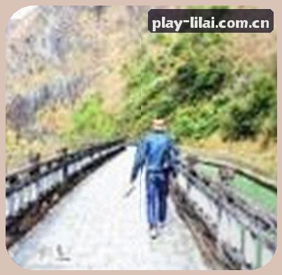 赵刚